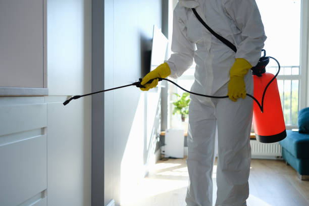 Best Mold Testing  in Minturn, CO